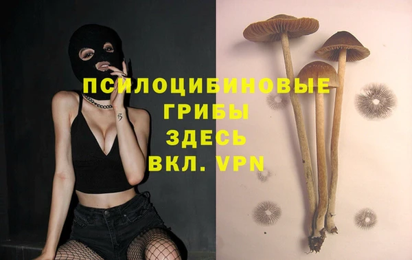 MDMA Горнозаводск