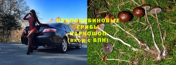 соль ск Горняк