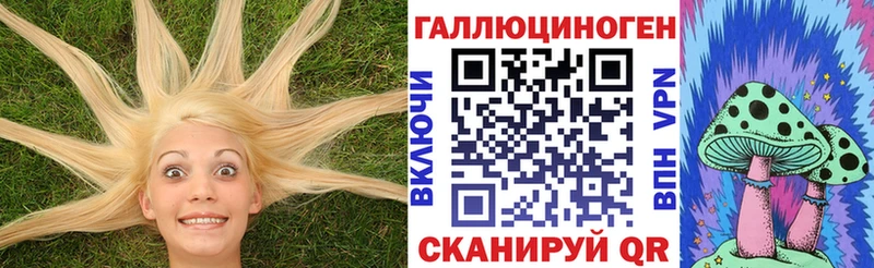 Галлюциногенные грибы Psilocybine cubensis  Владимир 