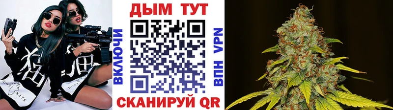 Каннабис OG Kush  Владимир 